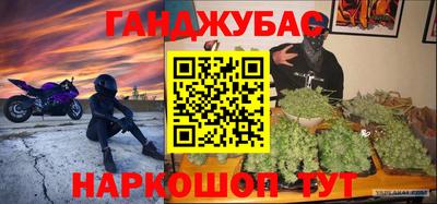 шишки Тулун