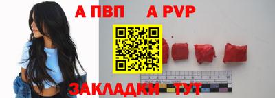 СК Тула