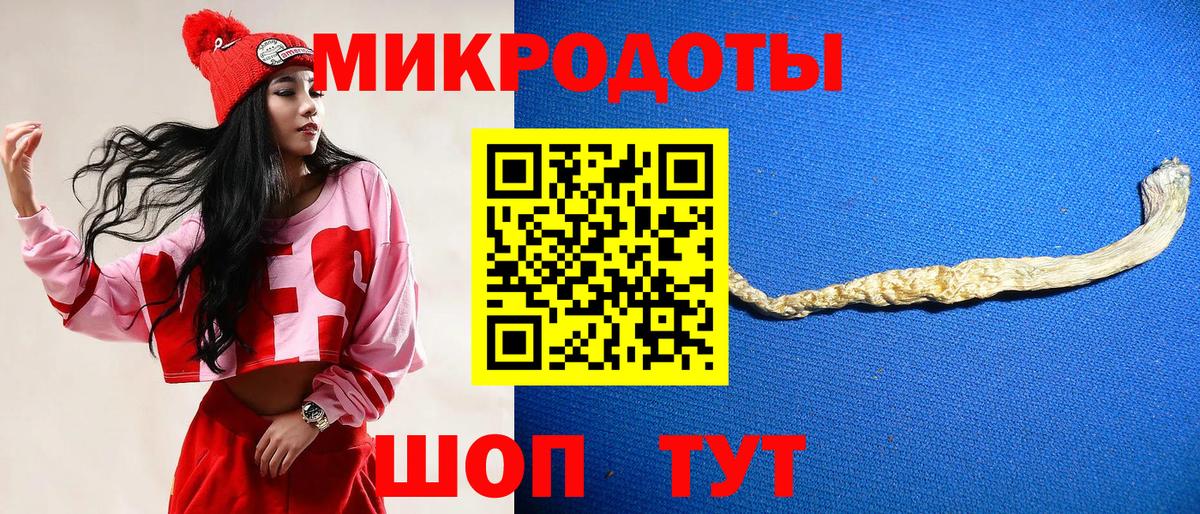 Галлюциногенные грибы Psilocybine cubensis Новороссийск