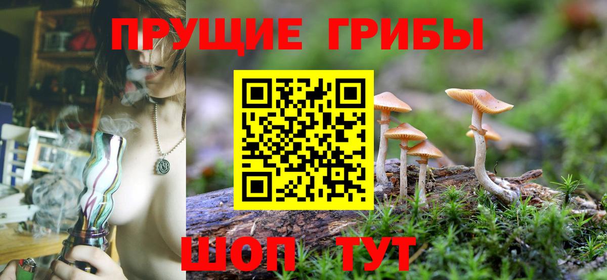 Псилоцибиновые грибы MAGIC MUSHROOMS Новороссийск