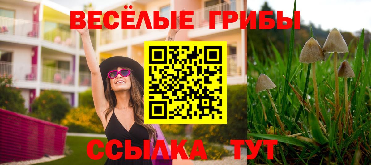 Галлюциногенные грибы ЛСД  Галлюциногенные грибы Psilocybine cubensis  Новороссийск  Вход с VPN 