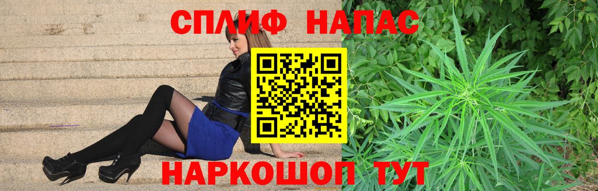 Конопля гибрид Новороссийск